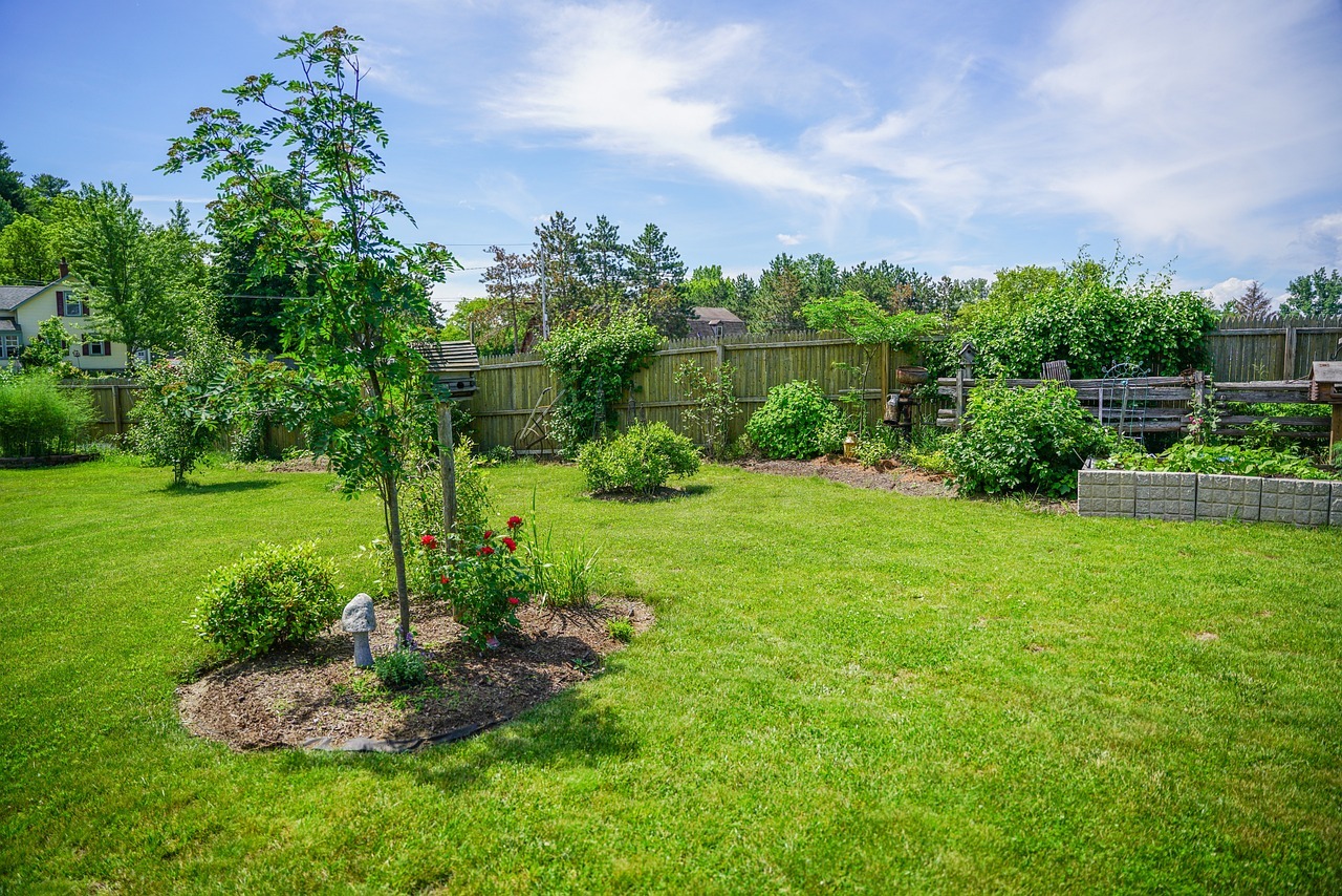 Lawn Care Maintenance Bonita Springs FL