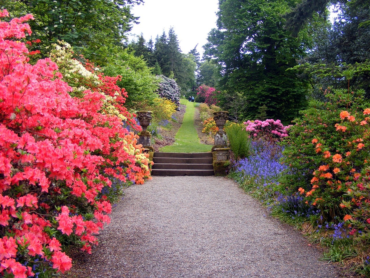 Bonita Springs Lawn Care Maintenance Quote