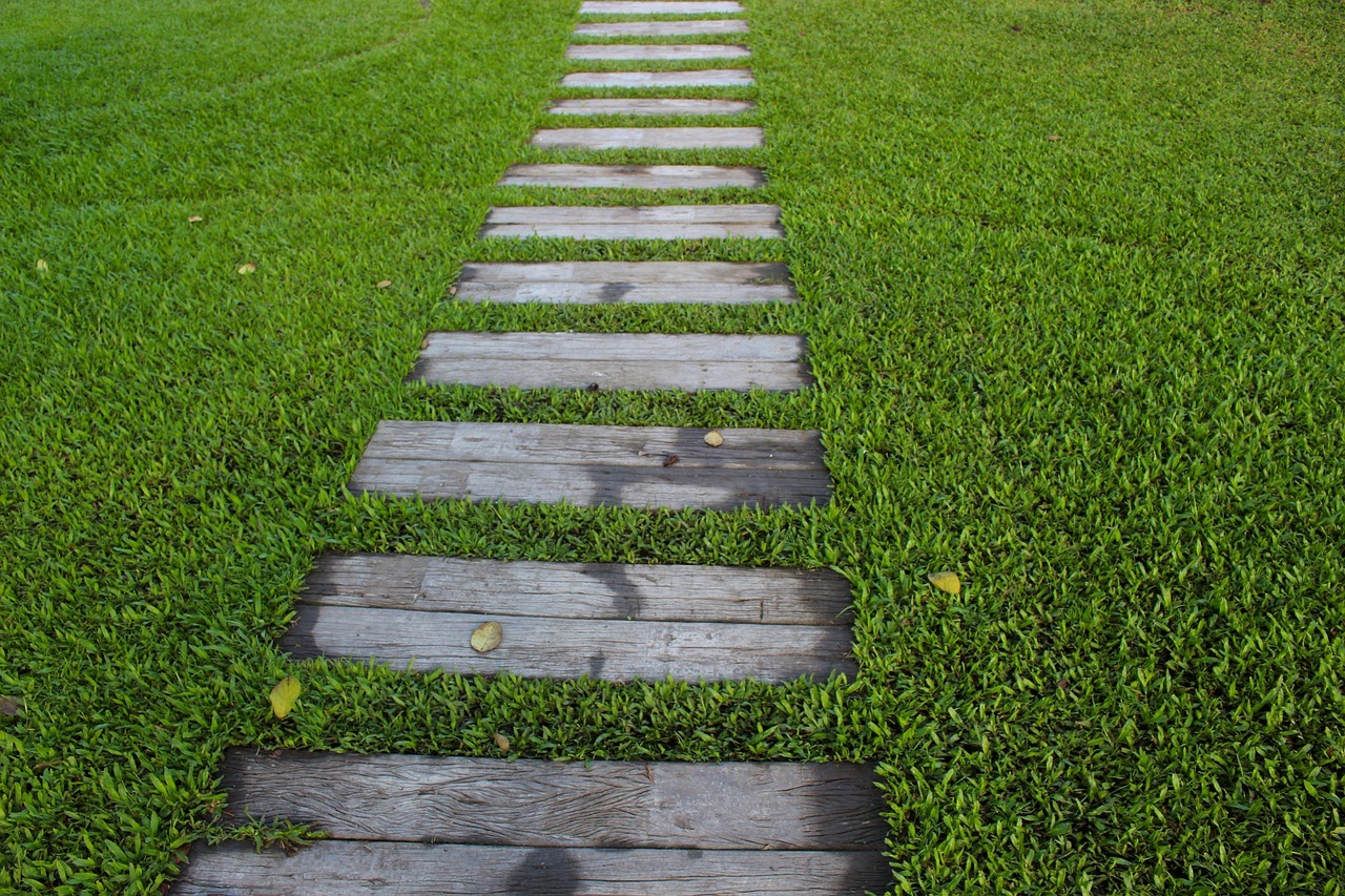 Lawn Care Maintenance Bonita Springs